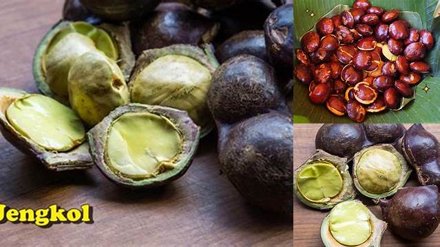 Temukan 10 Manfaat Buah Jengkol yang Jarang Diketahui, Anda Perlu Tahu!