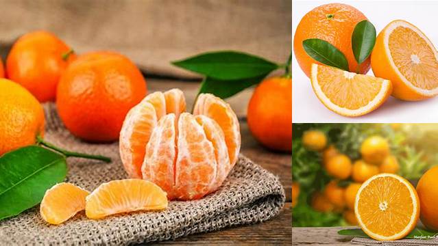 10 Manfaat Buah Jeruk untuk Kesehatan, Kecantikan, dan Kehidupan Anda