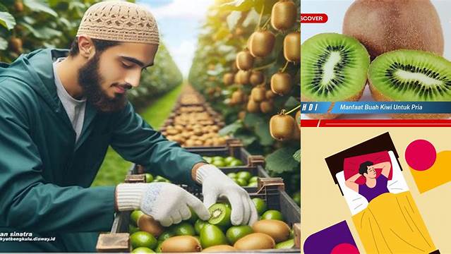 8 Manfaat manfaat buah kiwi untuk pria, Lebih kuat perkasa