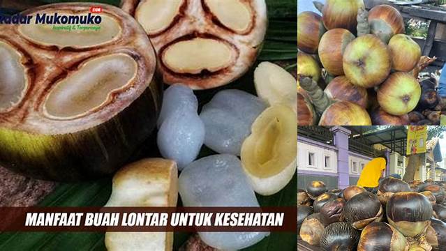 Temukan Manfaat Buah Lontar Bagi Kesehatan yang Jarang Diketahui