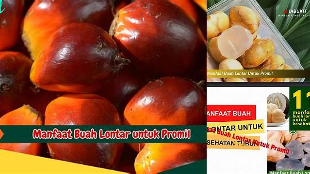 10 Manfaat Buah Lontar untuk Promil Tingkatkan Peluang Kehamilan Anda