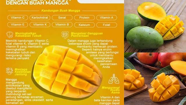 Rasakan 9 Manfaat Buah Mangga yang Jarang Diketahui