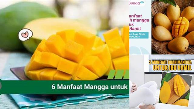 9 Manfaat Buah Mangga Untuk Ibu Hamil,  Sehat Bagi Janin dan Bunda