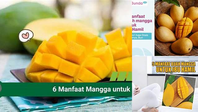 Temukan Manfaat Buah Mangga untuk Ibu Hamil yang Jarang Diketahui