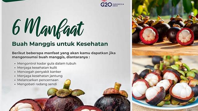 Manfaat Buah Manggis Luar Biasa untuk Kesehatan, Wajib Diketahui!