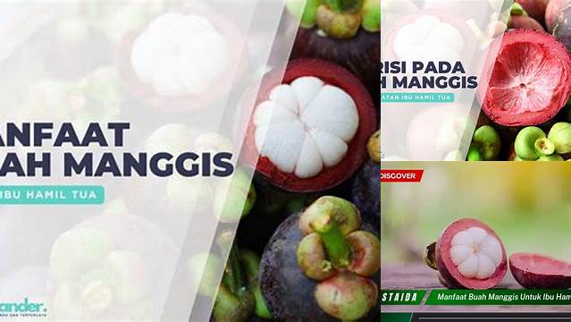 10 Manfaat manfaat buah manggis untuk ibu hamil tua Temukan Rahasia Sehatnya