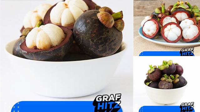 10 Manfaat manfaat buah manggis untuk kesehatan tubuh Ungkap Khasiat Istimewa