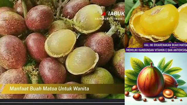 Temukan 8 Manfaat Buah Matoa untuk Wanita yang Jarang Diketahui