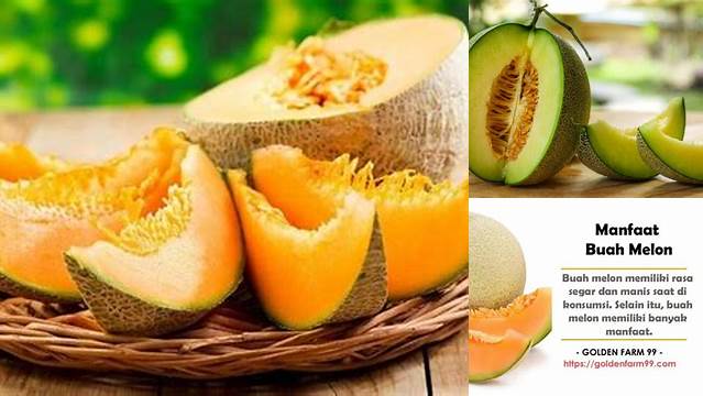 Temukan Manfaat Buah Melon untuk Kesehatan yang Jarang Diketahui