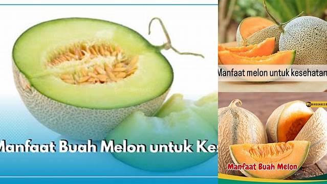 Temukan Manfaat Buah Melon untuk Kesehatan yang Jarang Diketahui