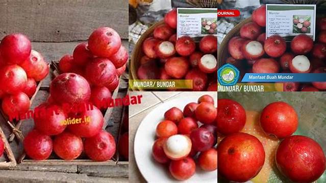 Manfaat Buah Mundar: Temuan dan Wawasan Jarang Diketahui yang Wajib Anda Ketahui