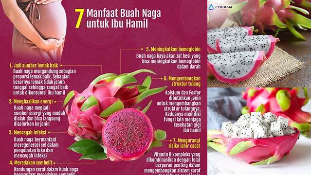 Temukan Beragam Manfaat Buah Naga untuk Ibu Hamil yang Jarang Diketahui