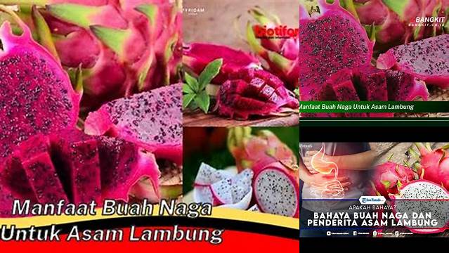 Temukan Manfaat Buah Naga untuk Asam Lambung, Jarang Diketahui!