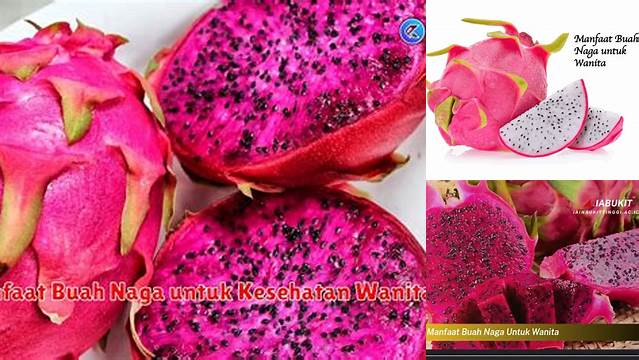 10 Manfaat Buah Naga Untuk Wanita, Kulit Cantik, Tubuh Sehat dan Langsing