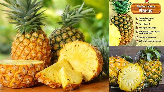 Manfaat Buah Nanas Bagi Tubuh yang Jarang Diketahui