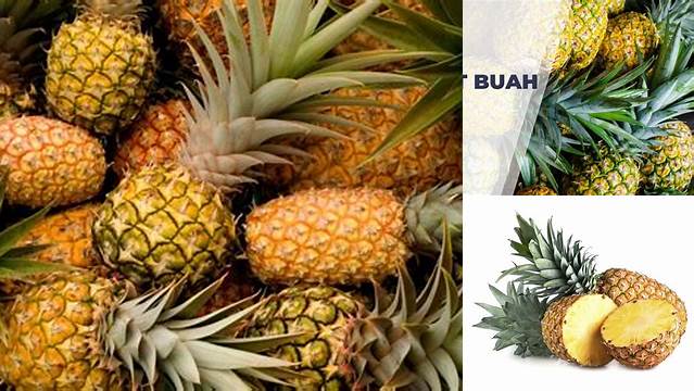 8 Manfaat Buah Nanas untuk Pria, Meningkatkan Vitalitas dan Kesehatan