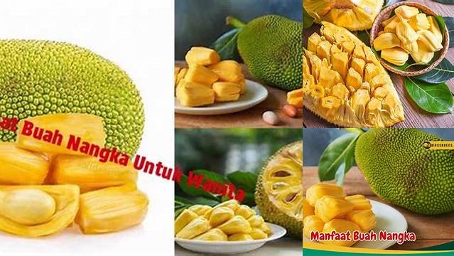 Temukan Manfaat Buah Nangka yang Jarang Diketahui untuk Wanita