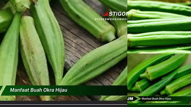 10 Manfaat Buah Okra Hijau yang Jarang Diketahui
