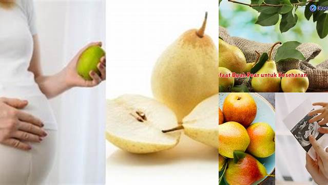 Temukan 10 Manfaat Buah Pear untuk Ibu Hamil yang Jarang Diketahui