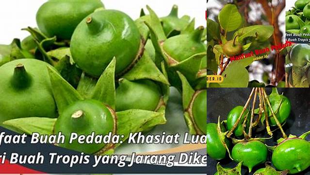 8 Manfaat buah pedada untuk kesehatan luar biasa