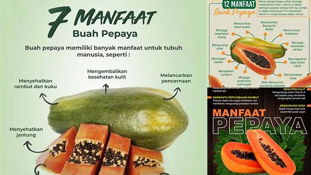 Temukan Rahasia Buah Pepaya yang Belum Diketahui