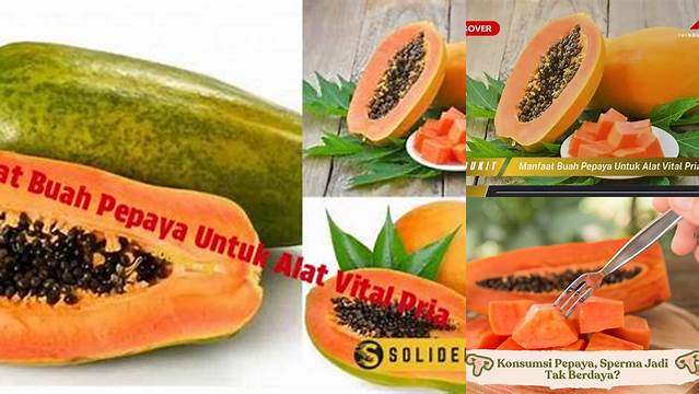 10 Manfaat manfaat buah pepaya untuk alat vital pria Temukan Fakta Terbarunya