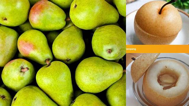 Temukan Manfaat Buah Pir Kukus yang Jarang Diketahui