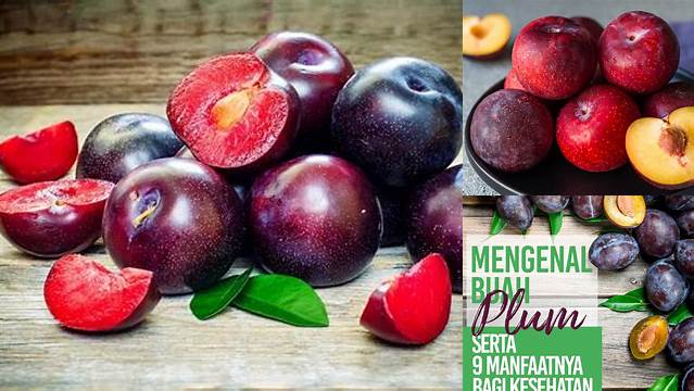 Temukan Manfaat-manfaat Buah Plum yang Jarang Diketahui