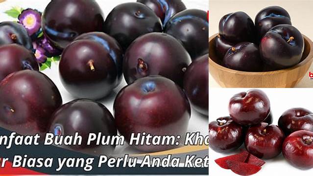 Manfaat Buah plum Hitam Luar Biasa yang Jarang Diketahui