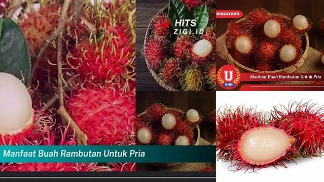 Temukan Manfaat Buah Rambutan untuk Pria yang Jarang Diketahui