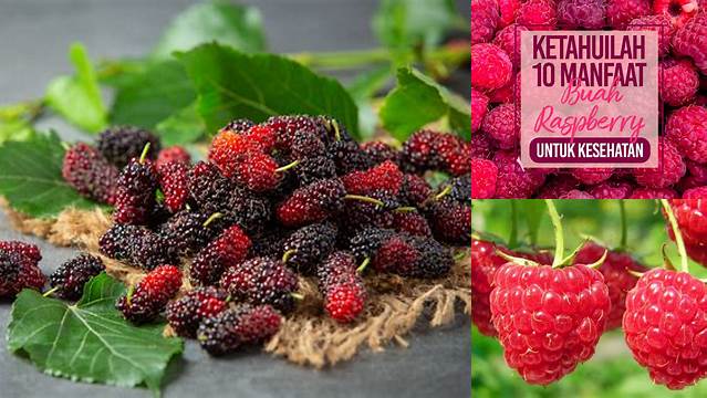 10 Khasiat Buah Raspberry yang Jarang Diketahui yang Akan Membuat Anda Tercengang