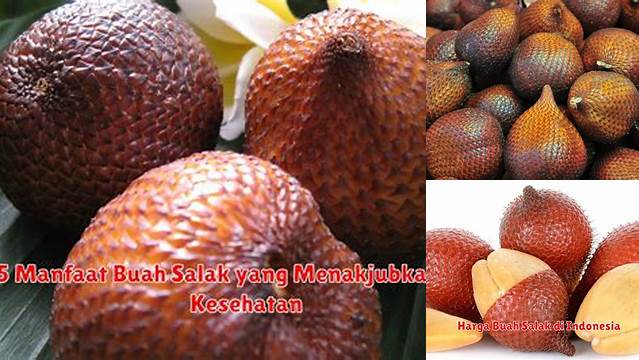 9 Manfaat manfaat buah salak bagi kesehatan Ungkap Fakta Menariknya!