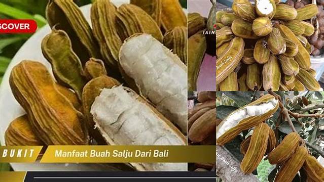 Temukan 9 Manfaat Buah Salju Bali yang Jarang Diketahui