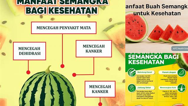 Temukan Khasiat Buah Semangka untuk Kesehatan yang Jarang Diketahui