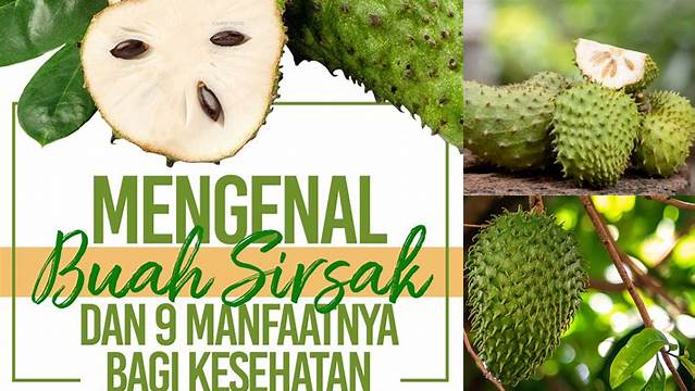 Temukan Manfaat Buah Sirsak untuk Kesehatan yang Jarang Diketahui!