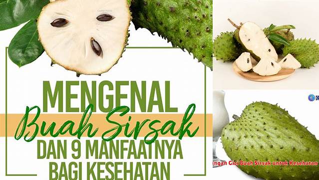 Temukan Manfaat Buah Sirsak untuk Kesehatan yang Jarang Diketahui