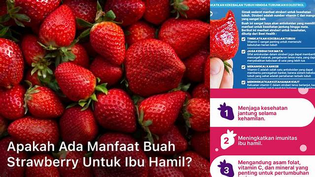 Temukan Khasiat Buah Stroberi yang Perlu Diketahui Ibu Hamil