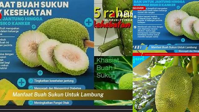 Temukan 9 Manfaat Buah Sukun untuk Lambung yang Jarang Diketahui