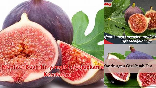 Manfaat Buah Tin untuk Kesehatan yang Wajib Anda Ketahui