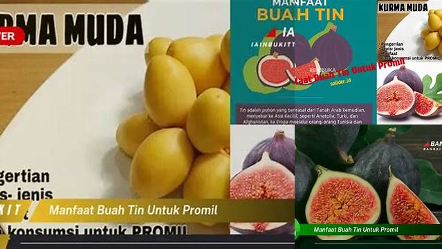 5 Manfaat Buah Tin untuk Promil yang Jarang Diketahui