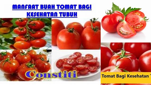 Temukan 9 Manfaat Buah Tomat bagi Kesehatan yang Wajib Diketahui