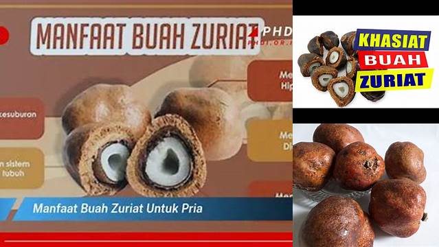 Temukan Khasiat Buah Zuriat untuk Pria yang Jarang Diketahui