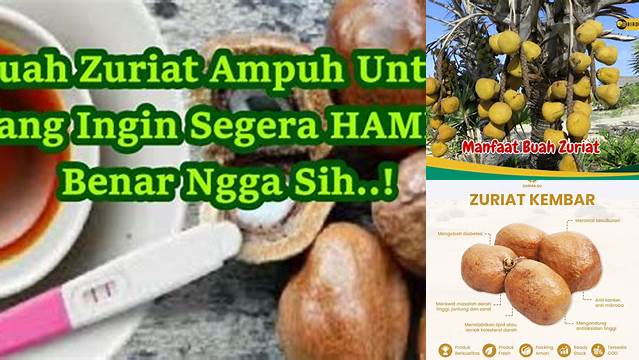 Temukan Manfaat Buah Zuriat untuk Program Hamil yang Jarang Diketahui