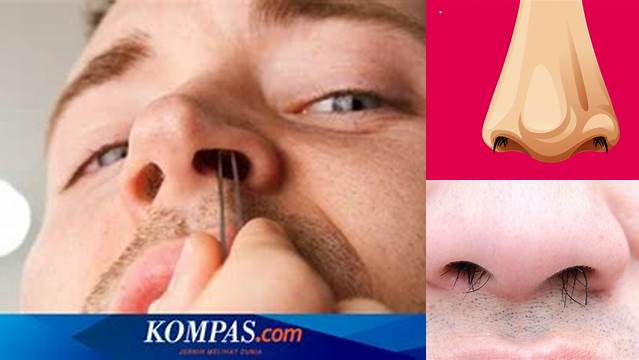 Manfaat Bulu Hidung yang Wajib Diketahui