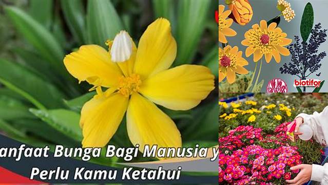 Ungkap 10 Manfaat Bunga yang Jarang Diketahui