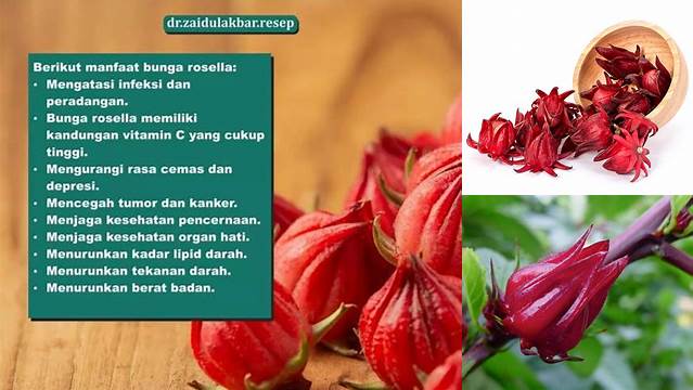 Ungkap Manfaat Bunga Rosella yang Jarang Diketahui