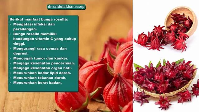 Temukan 10 Manfaat Bunga Rosella Merah yang Jarang Diketahui