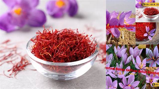 Temukan Manfaat Bunga Saffron yang Belum Banyak Diketahui