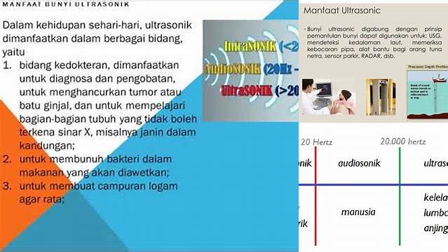 Manfaat Bunyi Ultrasonik yang Jarang Diketahui