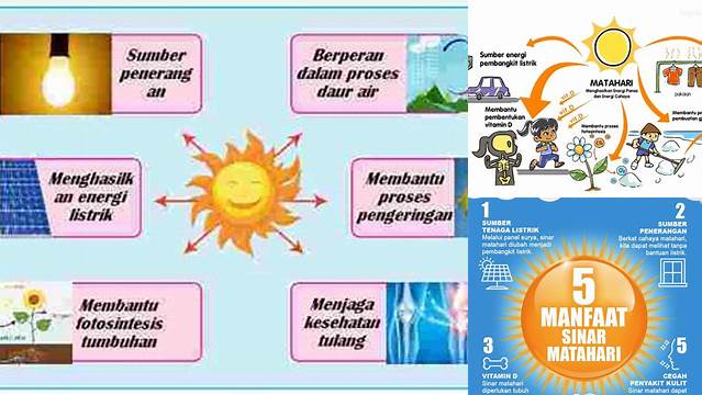 Temukan Manfaat Cahaya Matahari Bagi Manusia yang Jarang Diketahui